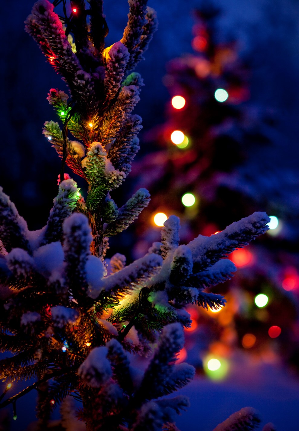 Why Do Twinkle Lights Look Blurry to Some People?